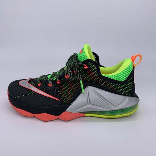 Nike Lebron Shoes