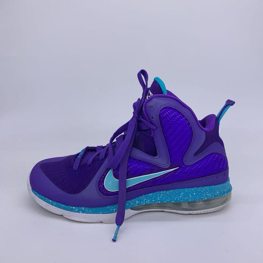 Nike Lebron Summit Lake Hornets